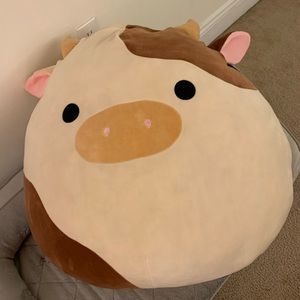 Ronnie 24’ Squishmallow